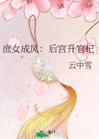 庶女成鳳:後宮升官記